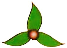 Logo CV. J.J. Tiga Putri Agrica